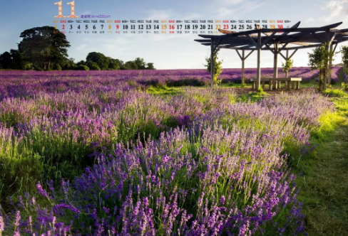 1708389478258805.png image.png