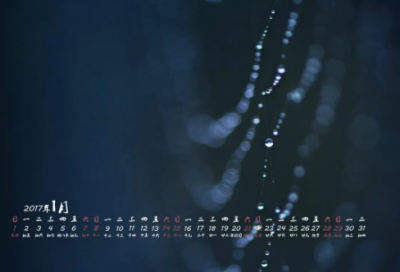 ​蹉跎岁月造句