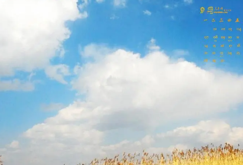 1708390143860916.png image.png