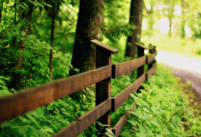 ​言不由衷造句