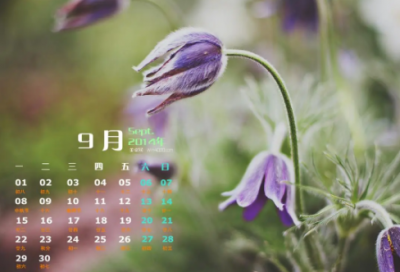 ​孤立无援造句