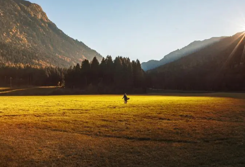 1708395636804005.png image.png