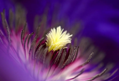 1708397467423453.png image.png