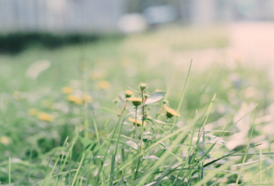 ​判若两人造句