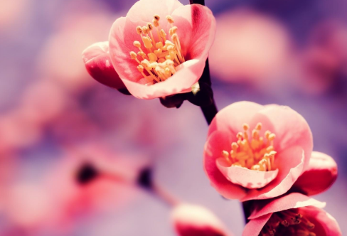 1708409954222613.png image.png