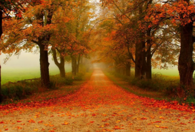 ​斋月节祝福语 斋月祝福语 英文2024(精选58句)