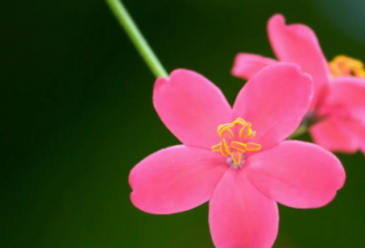 ​给90岁老人的祝福语(精选54句)