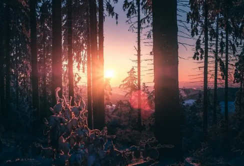 1709200932770051.png image.png