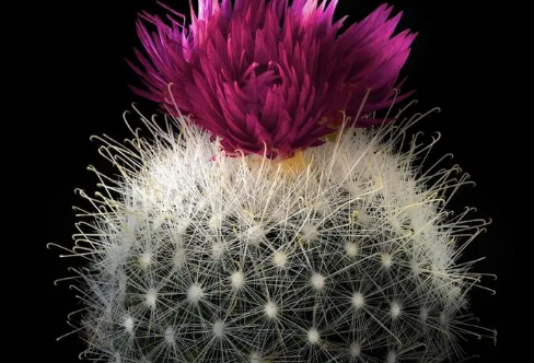 1709201932777897.png image.png