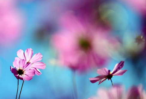 1709203098825544.png image.png