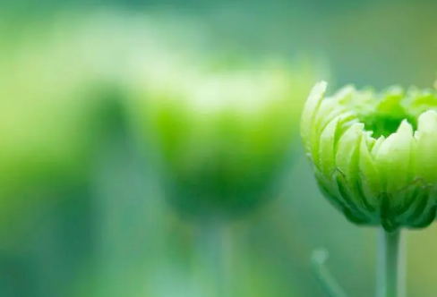 1709203432245528.png image.png