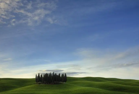 1709204598583711.png image.png