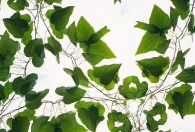 ​一对新人结婚祝福语短句(精选55句)