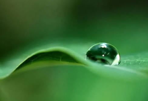 1709205932293024.png image.png