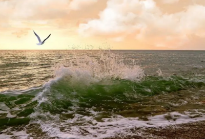 ​日常祝福短信息(精选79句)