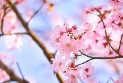 ​五一劳动节祝福语简短(精选54句)