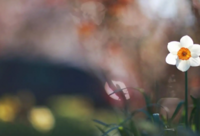 ​母亲节给顾客的祝福语大全(精选56句)