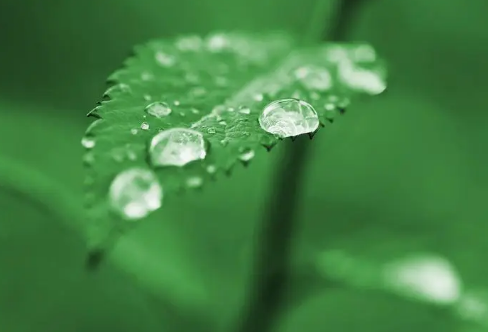 1709209932658523.png image.png