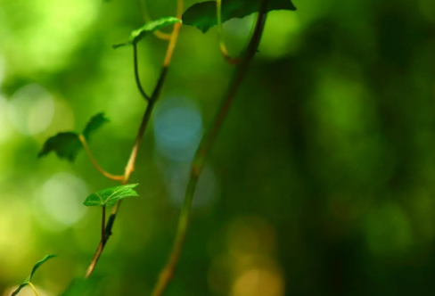 1709210598953130.png image.png