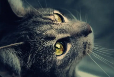 ​2024生日贺卡祝福语闺蜜(精选69句)