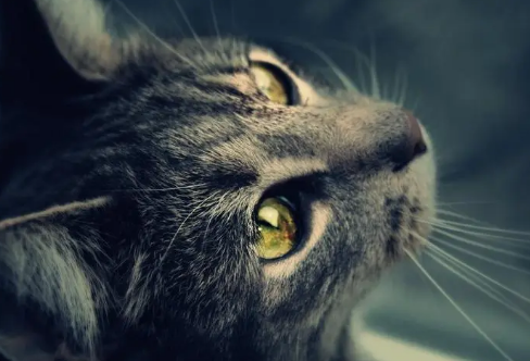 1709210765975489.png image.png