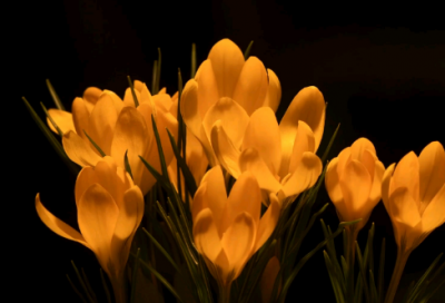 ​平安健康祝福语大全 祝爸爸平安健康祝福语大全