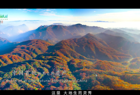 1709216432962492.png image.png