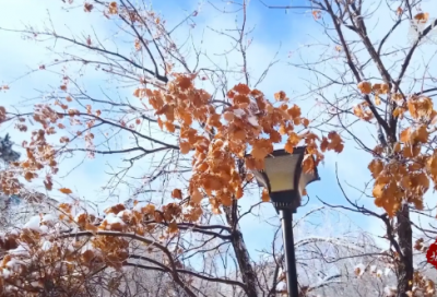 ​生日祝福语简短独特亲人长辈(精选66句)