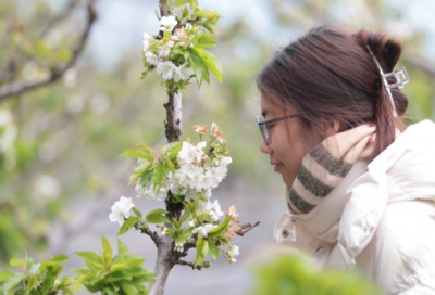 ​结婚请帖祝福语 结婚请帖祝福语文案(精选74句)