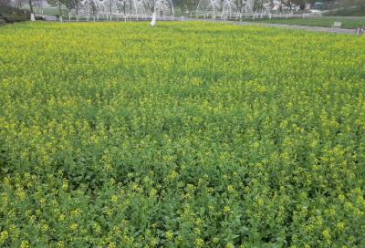 ​老人家八十岁生日祝福语(精选72句)