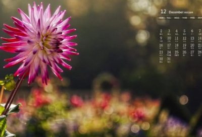​女神节祝福 女王节是几月几日(精选51句)