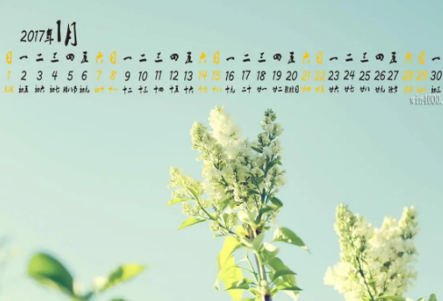 1709221936897617.png image.png