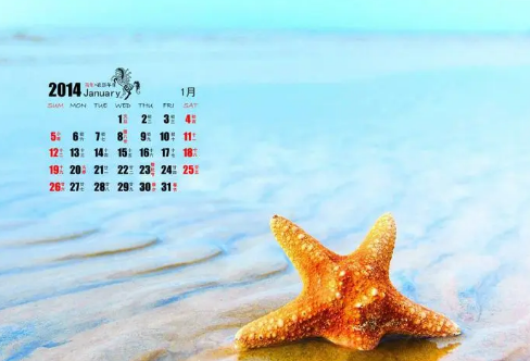 1709224103355455.png image.png