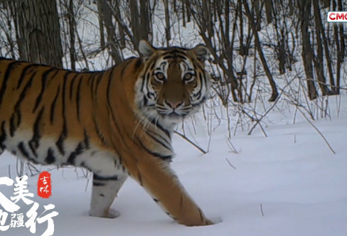 1709224437630251.png image.png