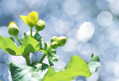 ​老公出远门祝福语 老公出远门坐飞机祝福语