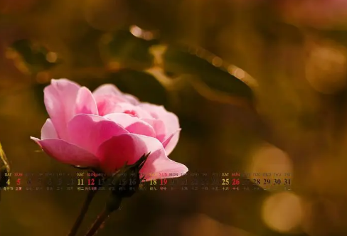 1709231774539408.png image.png