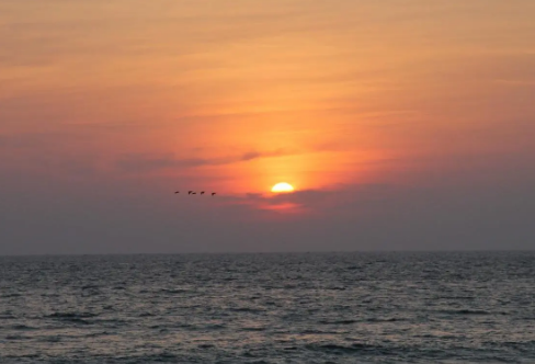 1709238610266900.png image.png