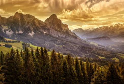 1709238943360388.png image.png