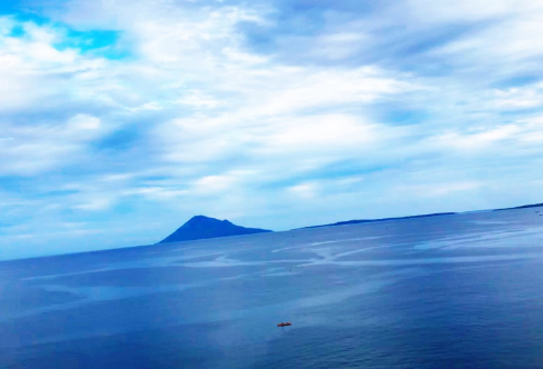 1709240276995356.png image.png