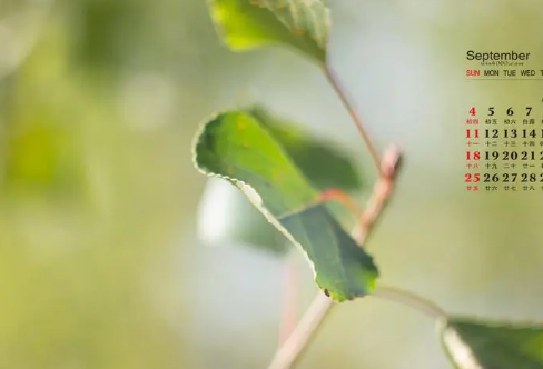 1709240776702341.png image.png