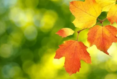 ​下雨天祝福短信最温馨的话汇编(精选53句)