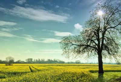 ​祝好朋友结婚的祝福语 朋友结婚的祝福语(精选77句)