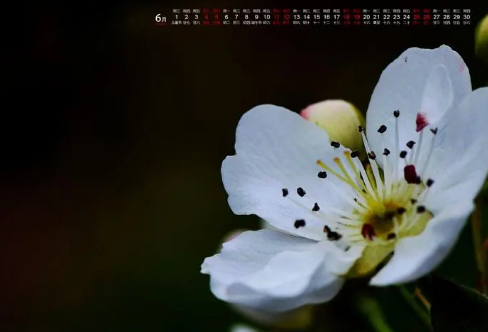 1709243943527984.png image.png