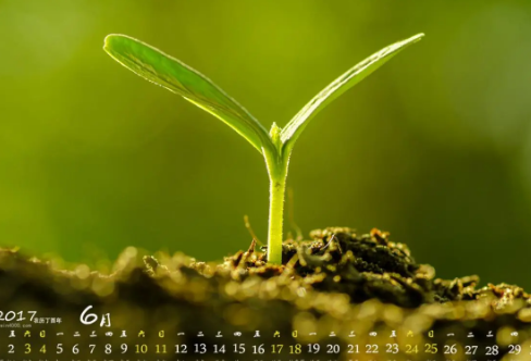 1709244109786946.png image.png