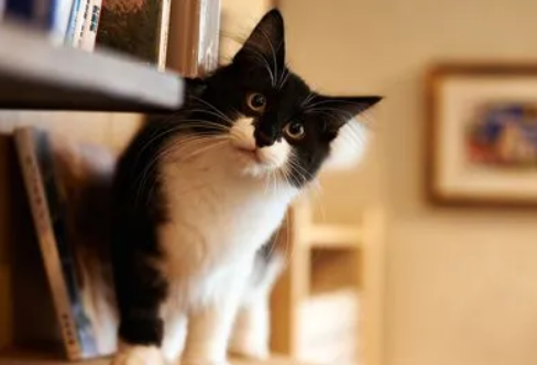 1709245276634522.png image.png