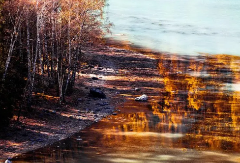 1709251944893101.png image.png