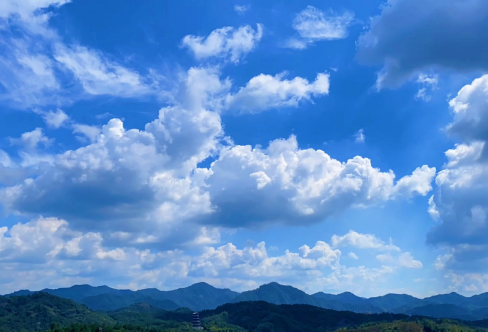 1709254110593053.png image.png