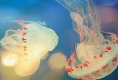 ​祝朋友乔迁祝福语朋友圈文案(精选75句)