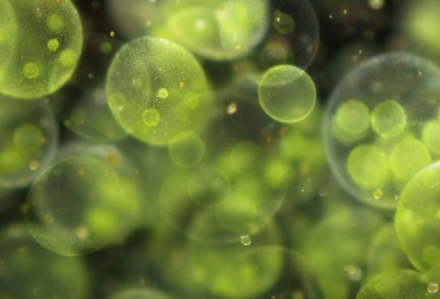 1709257944777923.png image.png