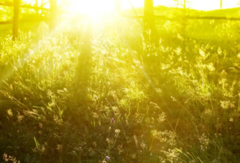 1709262445945618.png image.png